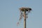 Nesting Platform Standing Against a Blue Sky