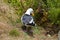 Nesting seagull on ground with green eggs.