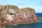 Nesting sites on cliffs at St Abb`s Head Scotland