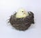 Nestling little yellow chick in bird nest of grass and twigs