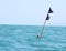 Net Buoy Marker Double Flag in Sea