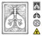 Net Lungs Fluorography Vector Mesh