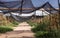 Net shade green house, Advanced agriculture in desert