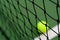 Net tennis on blur ball