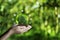 Net zero 2050 ESG concept, Hand with green world, wind energy system icon on blurred green leaf background. wind energy for green