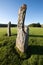 Nether Largie Standing Stones, Kilmartin Glen, Scotland