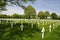 Netherlands American Cemetery Margraten