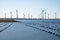 Netherlands, Bruinisse, Mussel, mussels farming in Oosterschelde estuary. Background Grevelingen Dam, part of Delta works and