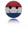Netherlands happy icon with reflection illustration