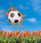 Netherlands holland orange football on tulip flower field