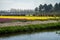 Netherlands,Lisse, a train traveling down train tracks near a pond