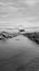 Netherlands. Panoramic view of the Dutch dike along the north sea