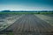 Netherlands, South Holland, a train traveling down train tracks near a field