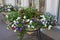 Netherlands table adorned with flowers