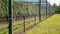 Netting Over Lychee Trees To Protect Them From Birds