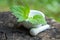 nettle dioecious, Urtica dioica next to pharmacy utensils bottle for medicines, pantglas made of dark glass for