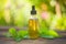 Nettle essential oil in beautiful bottle on table