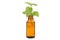 Nettle extract and bottle - Natural Remedies, isolated