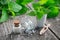 Nettle healing herbs, mortar and bottles of homeopathic globules. Homeopathy .