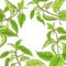 Nettle vector frame