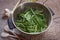 Nettles in a colander