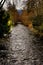 Neumagen river in Staufen im Breisgau Schwarzwald germany