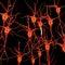 Neural Tissue