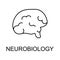 neurobiology line icon. Element of medicine icon with name for mobile concept and web apps. Thin line neurobiology icon can be