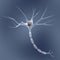 Neuron