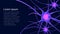 Neuron background with place for text. Nerve cells. Neurons. Neural network background. 3D-rendering.