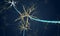 The Neuron with Degenerated Myelin