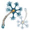 Neuron that is the main part of the nervous system.