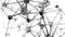 Neuron network activity