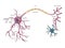 Neuron structure diagram medical science