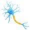 Neuron structure, nerve cell flat vector illustration