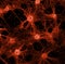 Neuronal network concept image