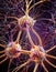 Neuronal Structure Close-Up Render