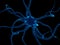 Neurone