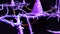 Neurons Closeup View