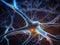 Neurons communicate with each other using electrochemical signals, Nerve cell,