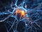 Neurons communicate with each other using electrochemical signals, Nerve cell,