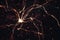 Neurons Electrical Pulses