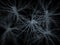 Neurons network zoom in