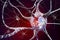 Neurons in Parkinson& x27;s disease