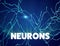 Neurons, synapses, neural network circuit of neurons, brain, degenerative diseases, Parkinson