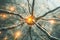 Neurons transmit signals with bright sparks in the brain