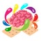 Neurophysiology icon isometric vector. Realistic human brain with colorful drop