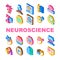 neuroscience brain doctor medical icons set vector
