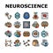 neuroscience brain neurology icons set vector