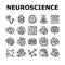neuroscience brain neurology icons set vector